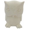 011 0801 Owl